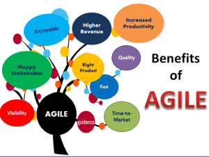 Implement Agile In Application Development